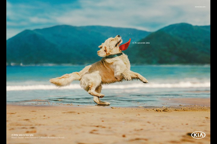 Slow Dogs - Kia Forward Collision-Avoidance Assist - Kia Motors