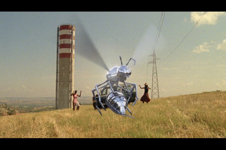 Sting Like a Bee - C41 -
