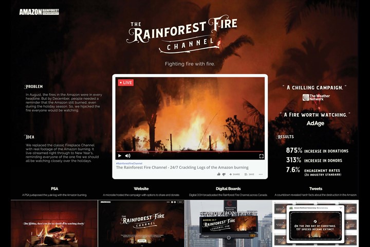 The Rainforest Fire Channel - Amazon Rainforest Conservancy - Amazon Rainforest Conservancy