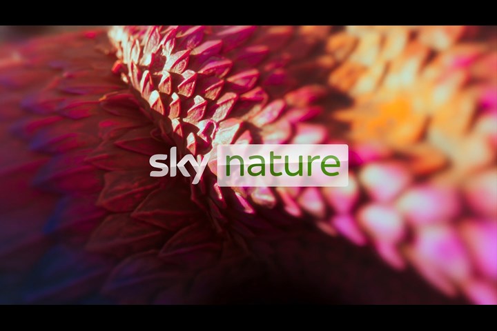 Sky Nature idents - Sky Nature - Sky