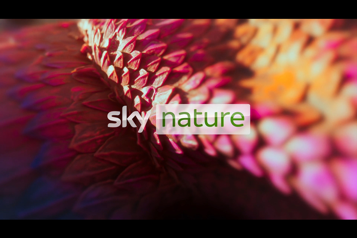 Sky Nature idents - Sky - Sky Nature