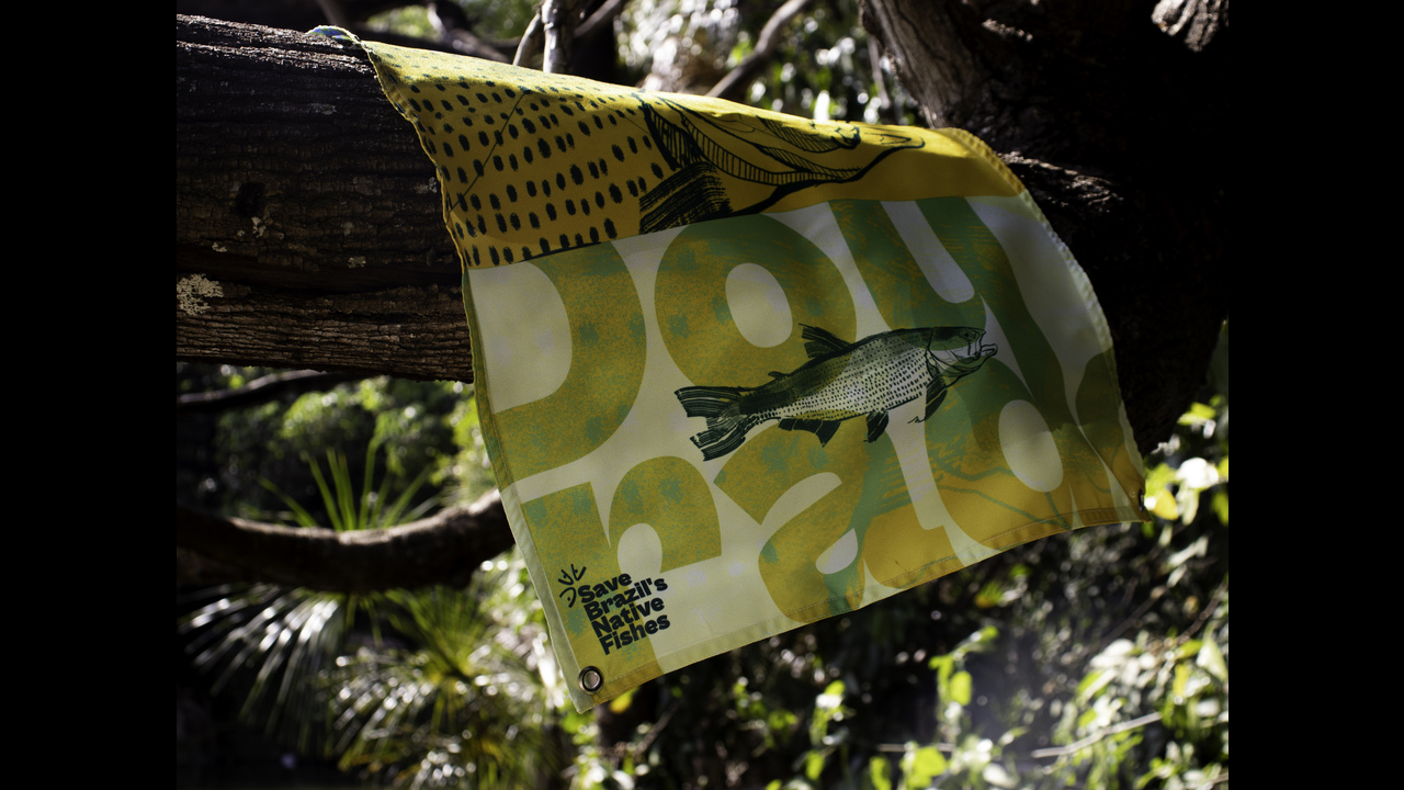 Projeto Peixara - 2024 - Enredo Brand Innovation