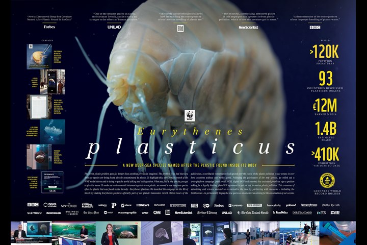 Eurythenes plasticus - A new species - WWF Germany