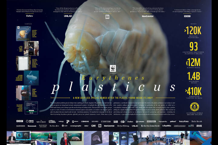 Eurythenes plasticus - WWF Germany - A new species