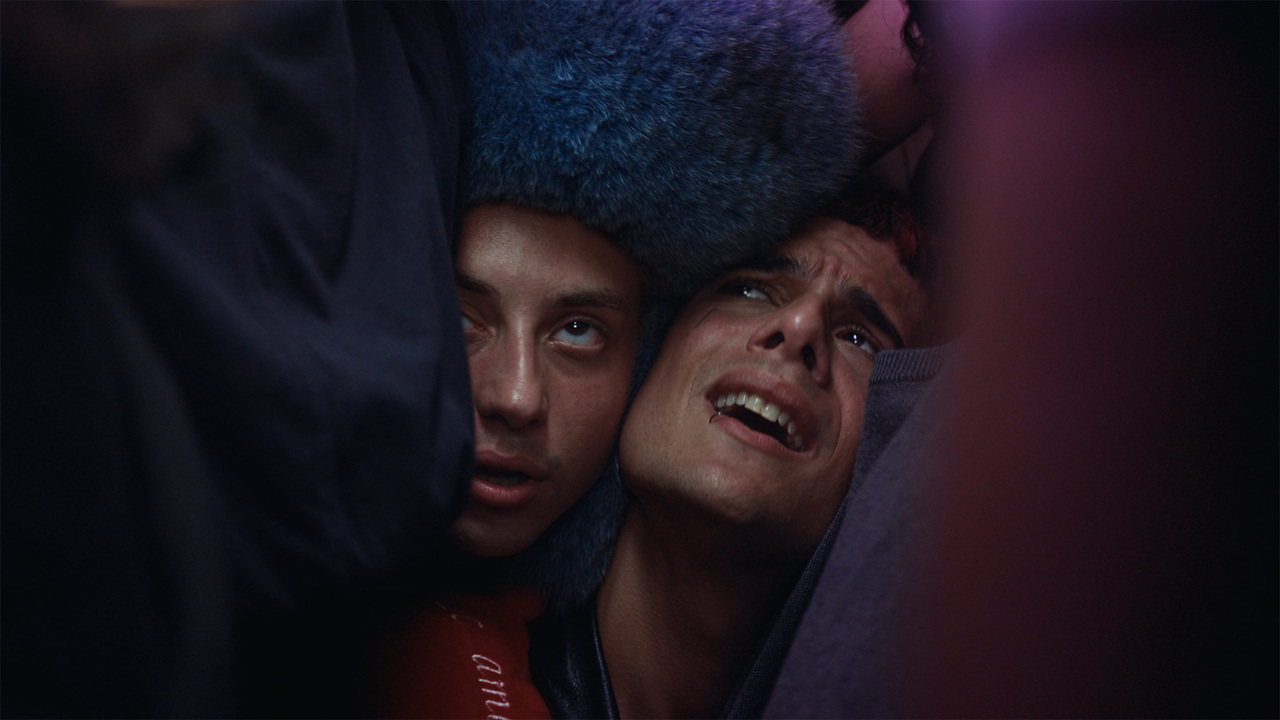 Papota - Rebolucion, About - Rebolucion