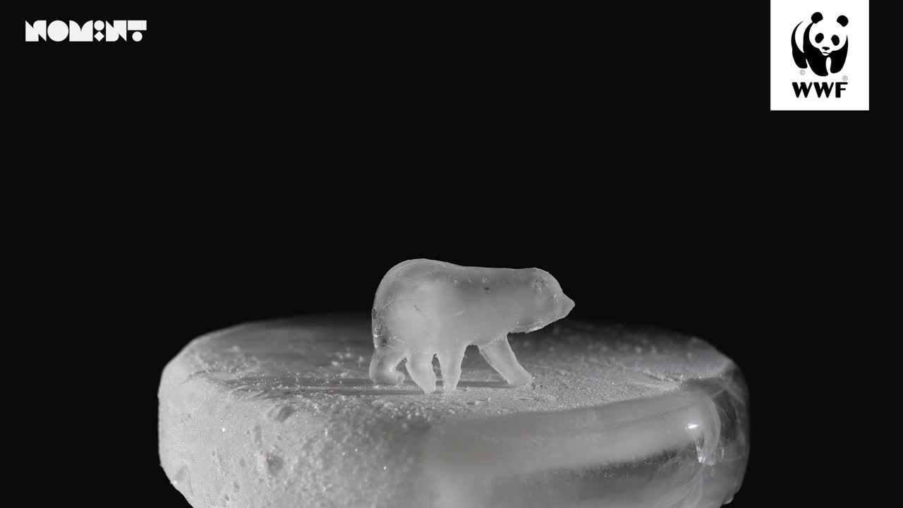 COP Campaigns - NOMINT - WWF and NOMINT’s agile partnership has created space for some of the boldest climate productions ever made. Crafted with real melting ice, smoke, and fire, these visually iconic films have captured global attention and reached millions worldwide.