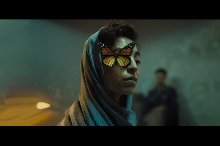 RISE - Joseph Ogunmokun, Becky Bishop, Nazanin Alakija - SHIRZAN (anonymous alias)