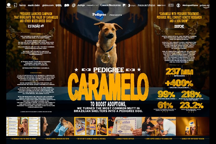 Pedigree Caramelo - Pedigree - Mars