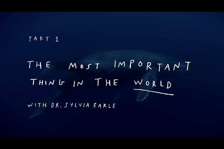 Parley Ocean School Episode 1: Sylvia Earle - The Most Important Thing In The World - Mr.Frank - Parley Ocean Schools