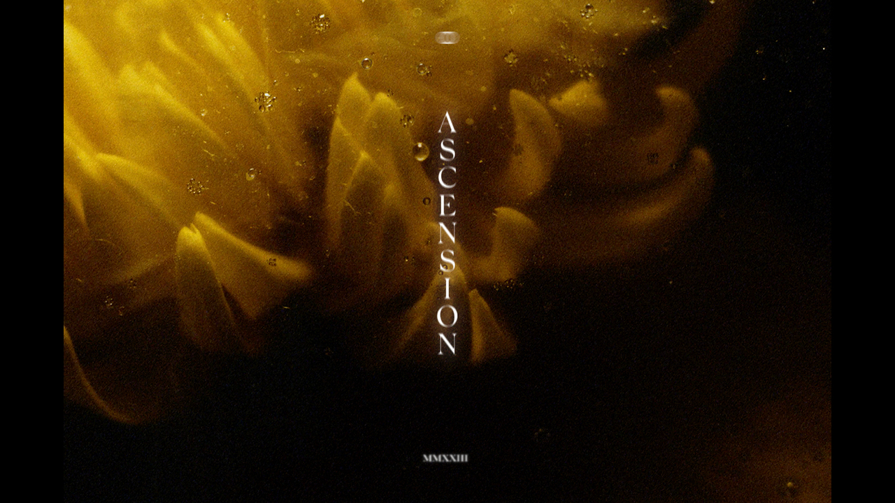 Ascension - Shadow Lion -