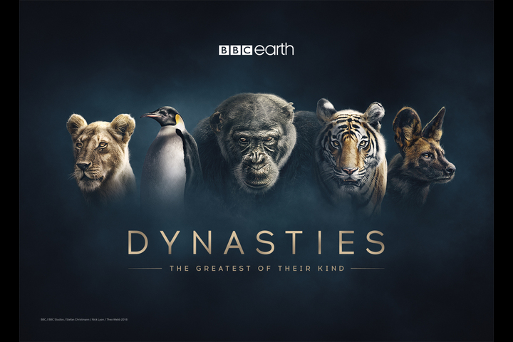 Dynasties - Dynasties Promo - BBC
