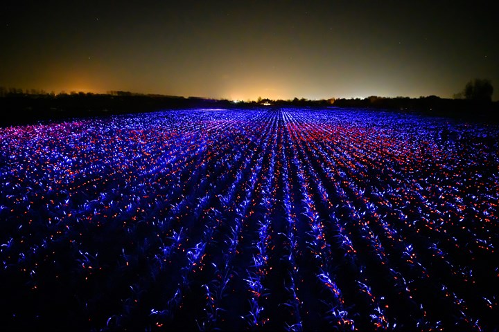 GROW - GROW - Studio Roosegaarde