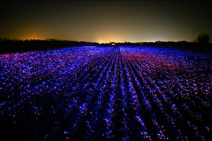 GROW - GROW - Studio Roosegaarde
