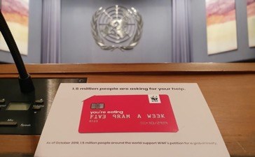 Your Plastic Diet - Reducing plastic consumption - WWF