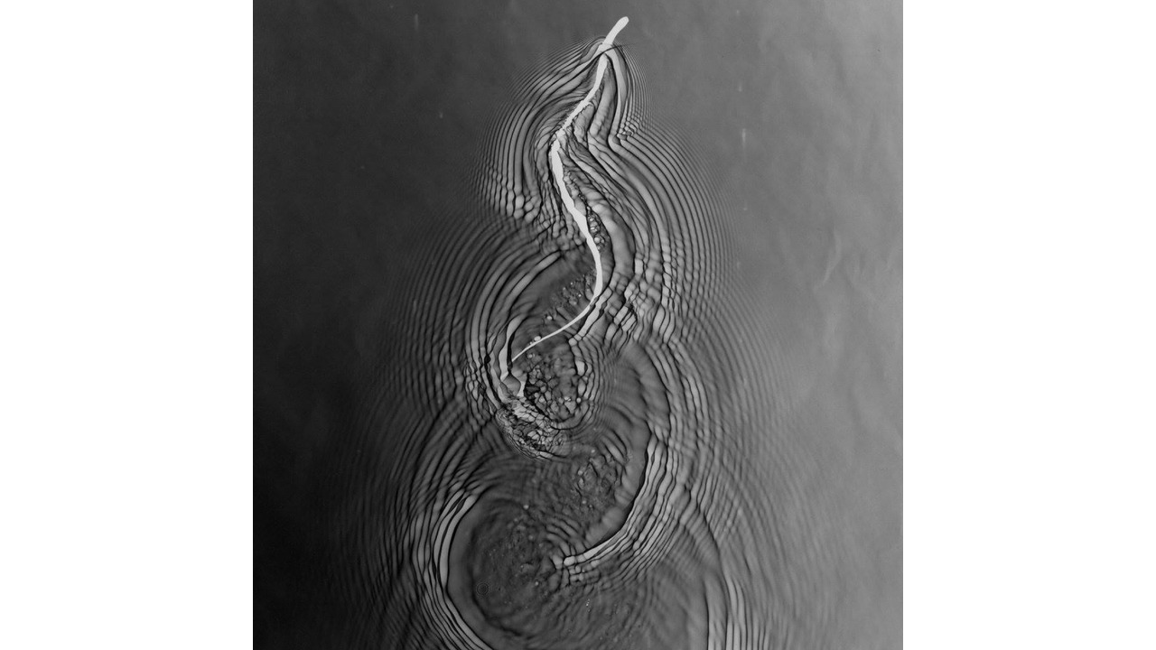 Os Tincoãs • o canto coral afrobrasileiro - 2023 - OBLÍQUO