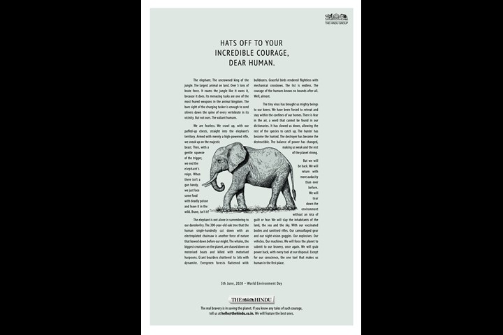 The Elephant - Publication - The Hindu - English Newspaper - The Hindu