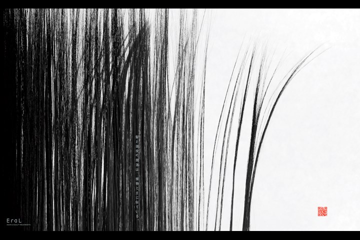 Hair Calligraphy and Painting - Beauty, Cosmetics / Hair and Scalp Treatments (Products and Treatment service) - EraL