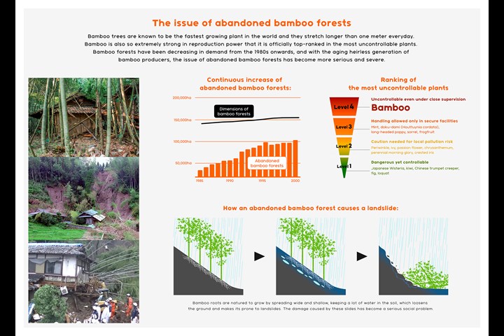 Bamboo Sweets - Bamboo Sweets - LIFULL
