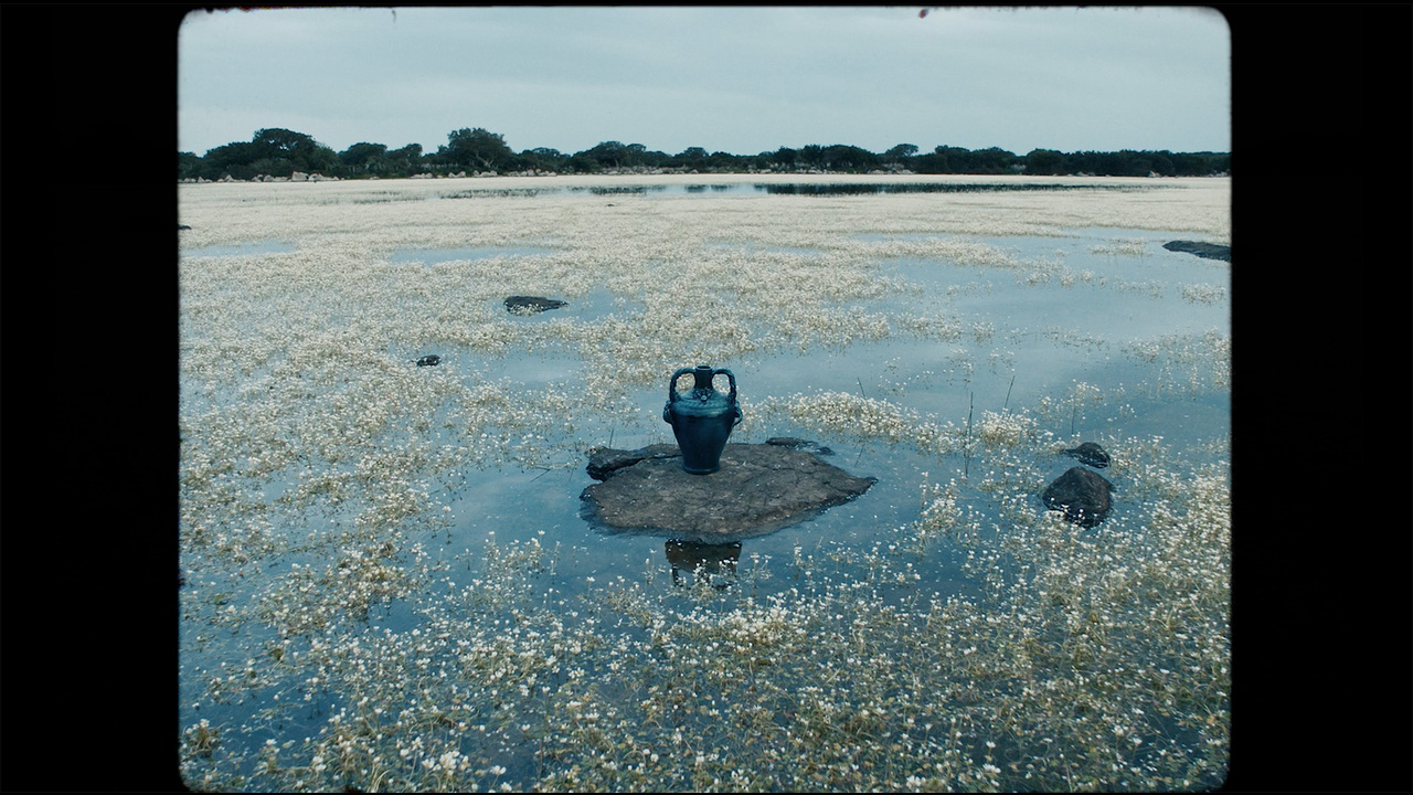 Terra e strexiu - Piranha films -