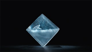 Extreme by Nature - Blinkink - Blinkink