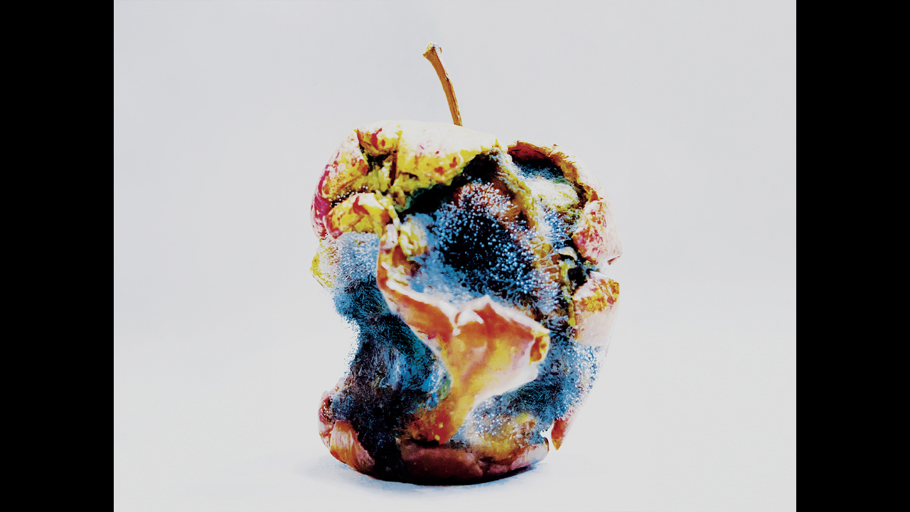 Waste - 2023 - Maurício Firmino Jr.