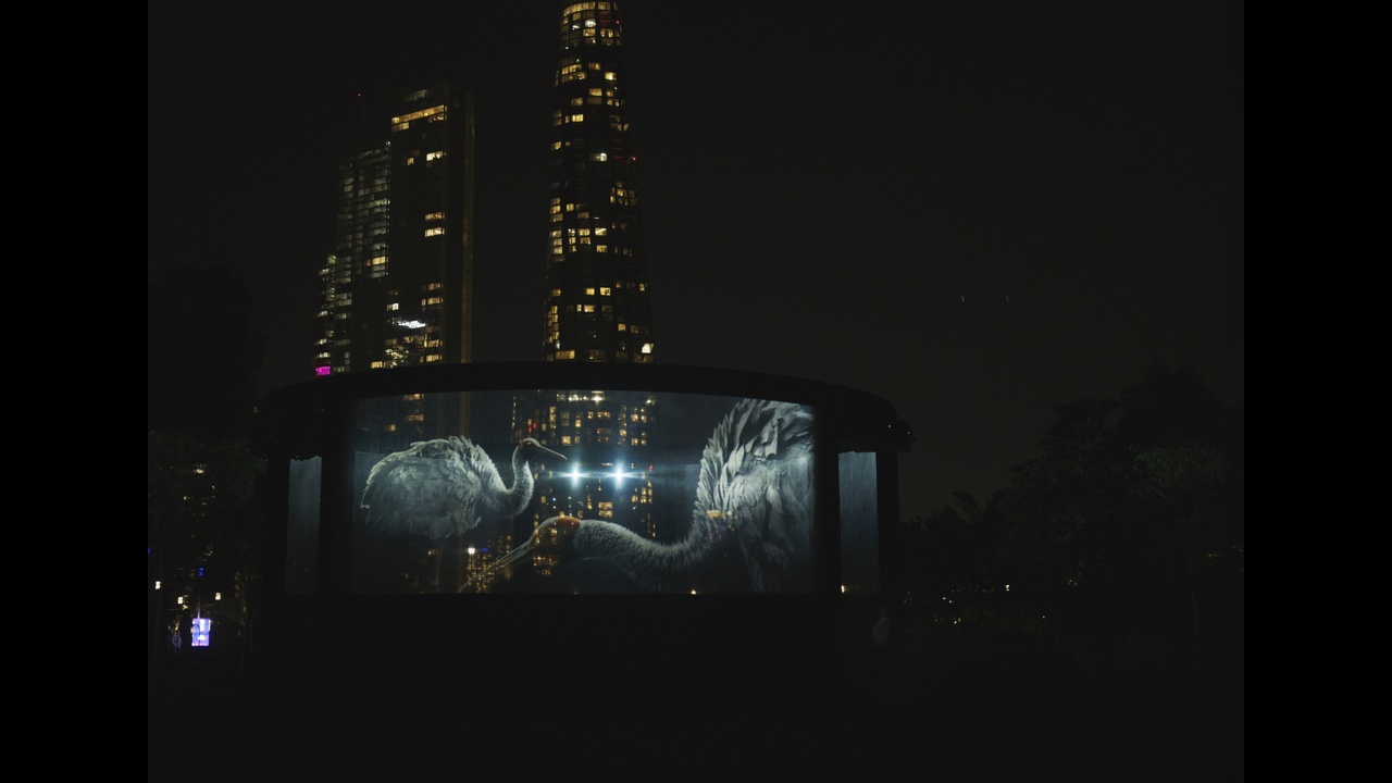 Nest - Photoplay - Photoplay