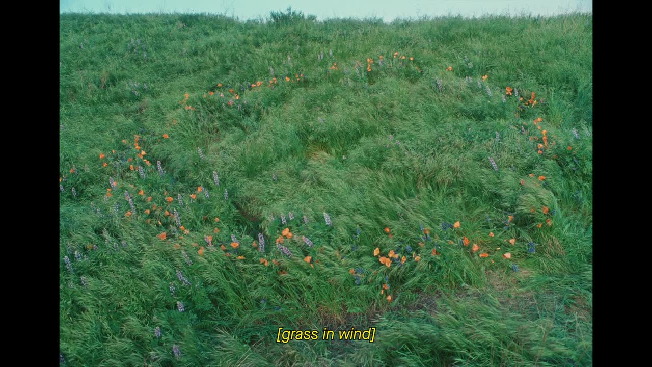 Better for You - SOMESUCH, Radiance Pictures - Everlane