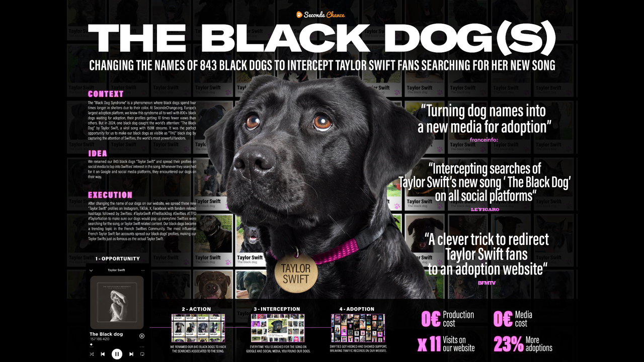 The Black Dog(s) - Seconde Chance - Seconde Chance