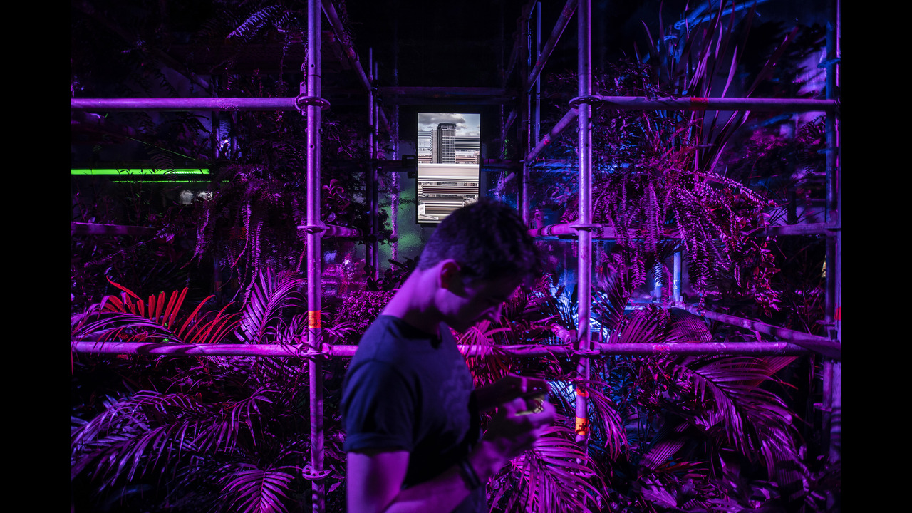 Horizonte Utópico - 2019 - BIJARI