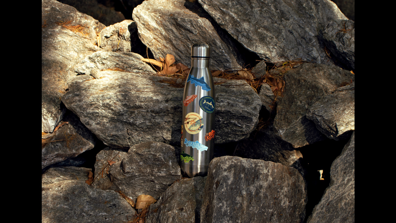 Projeto Peixara - 2024 - Enredo Brand Innovation