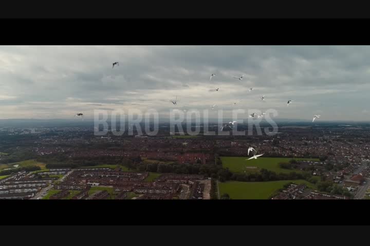 Molson Coors - Pigeons - Carling