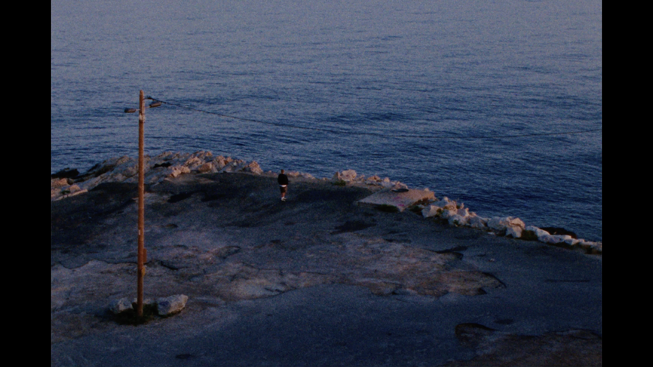 FEUX - ANGEL - VANTA - Feux