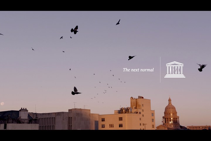The Next Normal - UNESCO - UNESCO