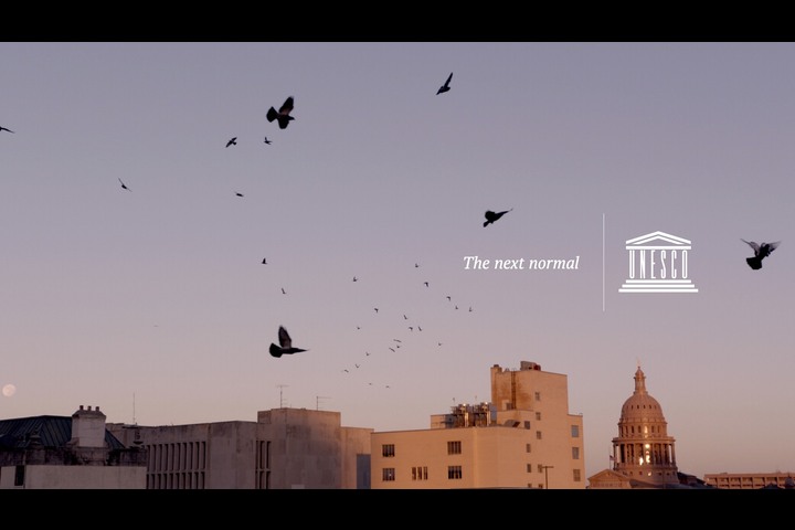 The Next Normal - UNESCO - UNESCO