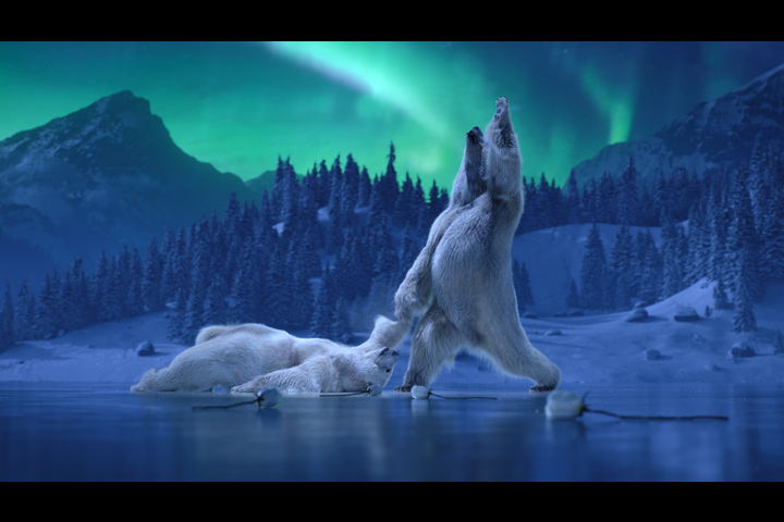 Polar Bears - ITV - Dancing on Ice