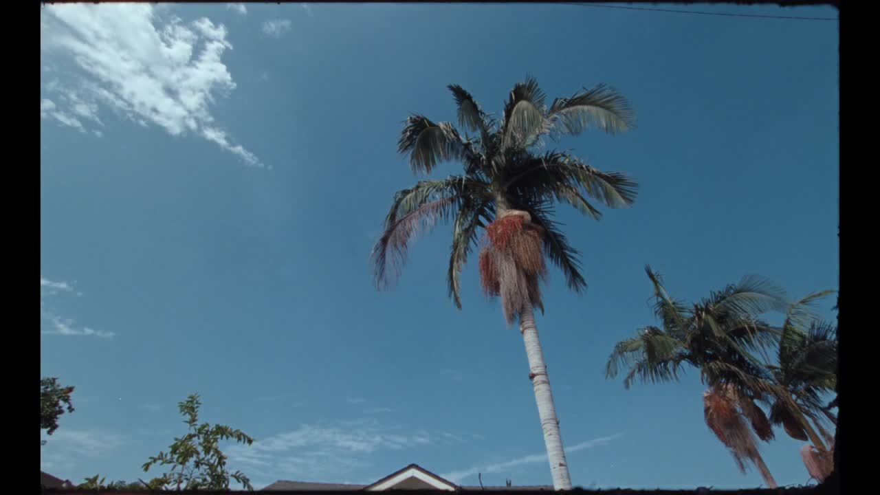Dreamin’ - Interscope - Cuco