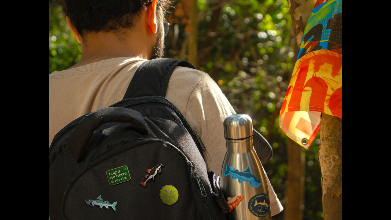 Projeto Peixara - 2024 - Enredo Brand Innovation