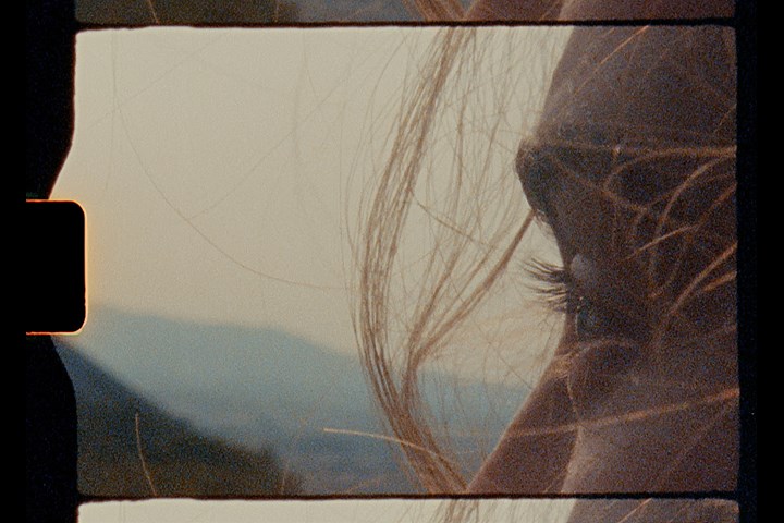 The Heartbeats of Memory - Nono Films - The Heartbeats of Memory