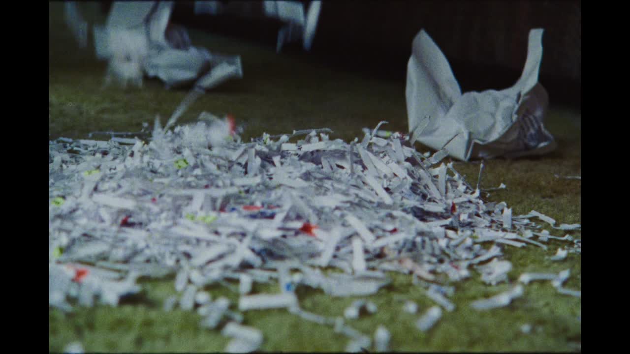 Background Actor - Brakelight Pictures - Sabrina Song