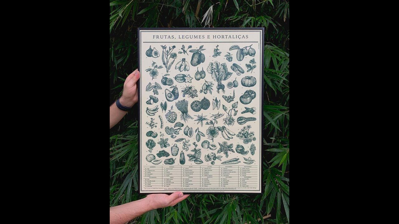 Gráfica Brasiliana - 2024 - Estúdio Arado