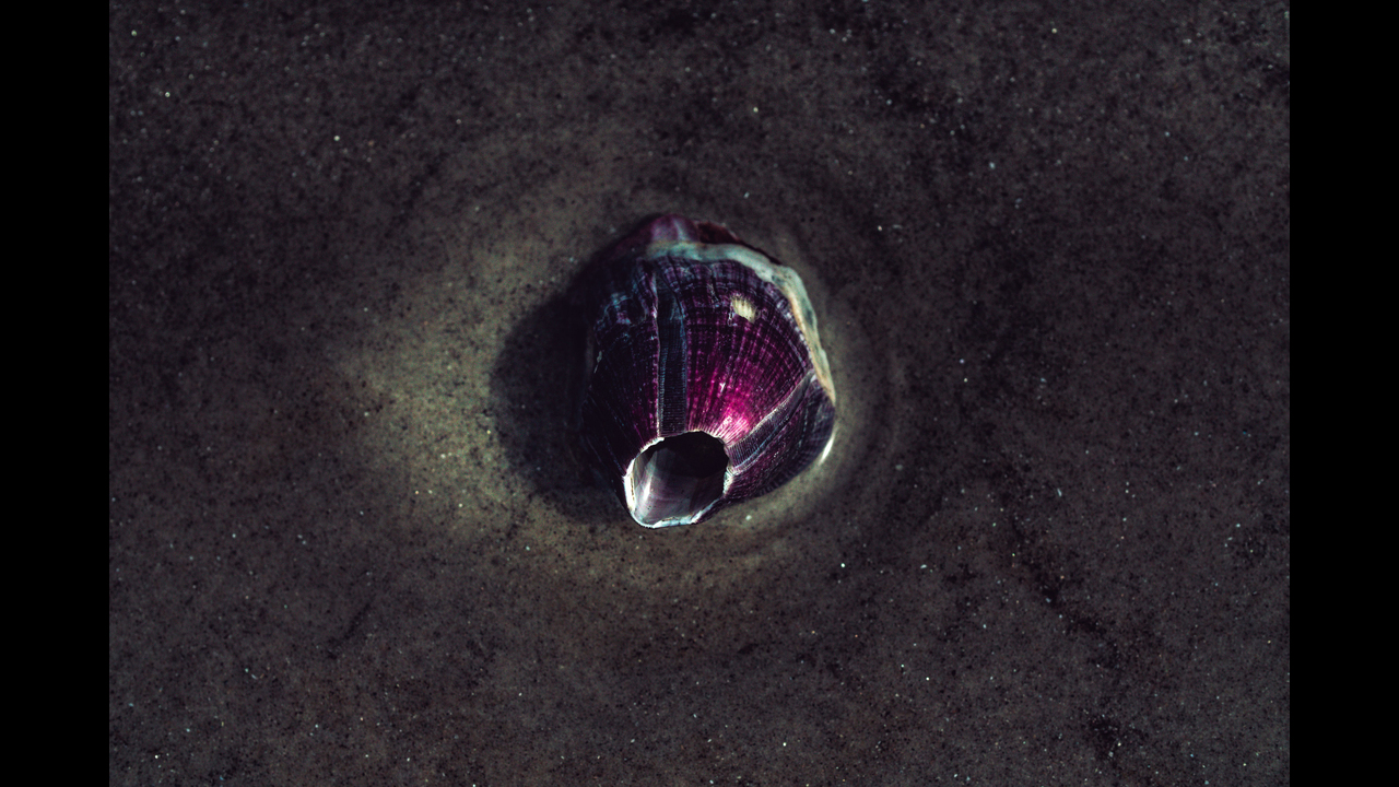 Constelações - 2019 - 