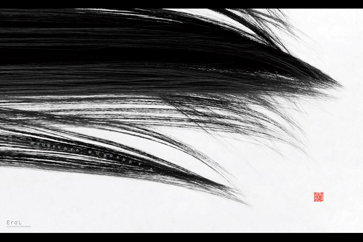Hair Calligraphy and Painting - Beauty, Cosmetics / Hair and Scalp Treatments (Products and Treatment service) - EraL