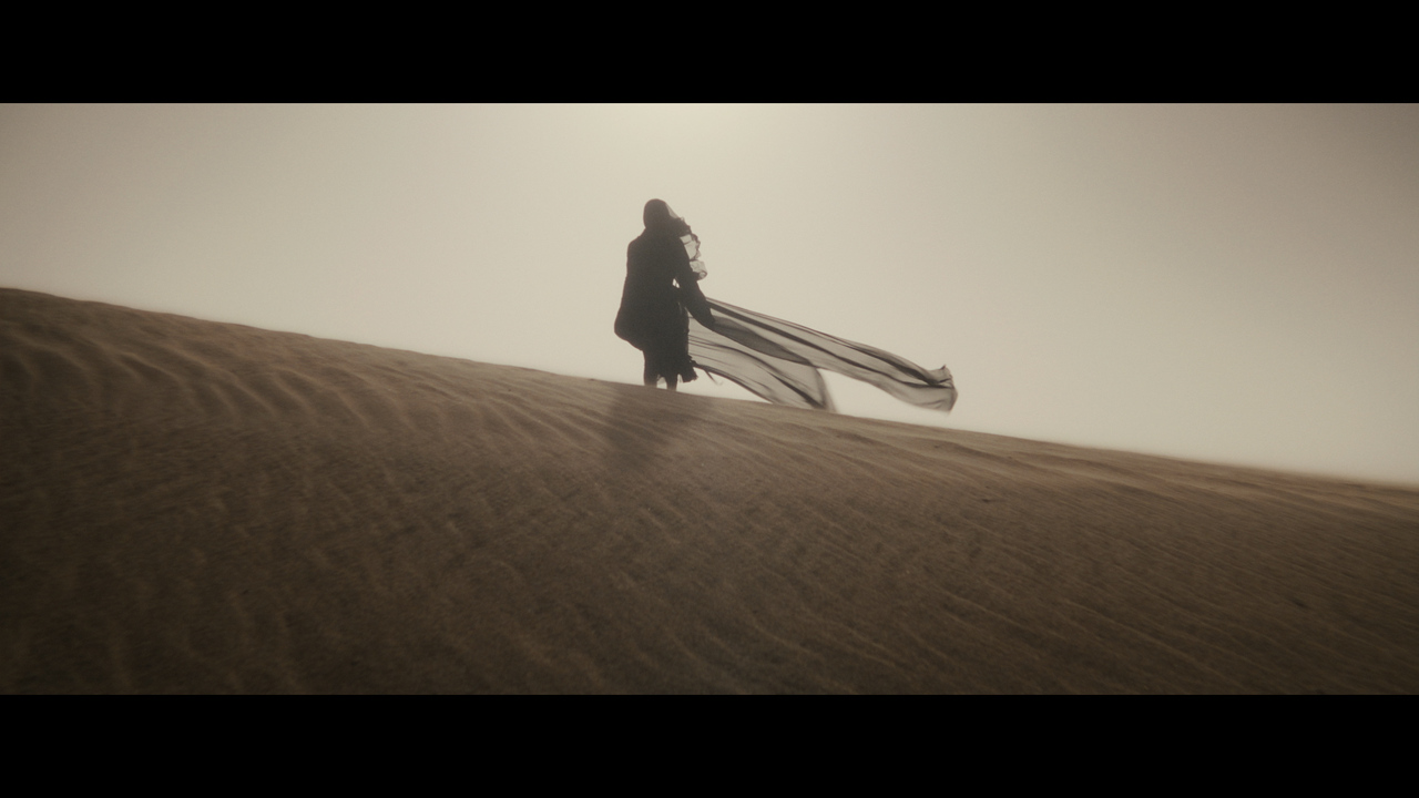 Blackbirds - Metafilms - 