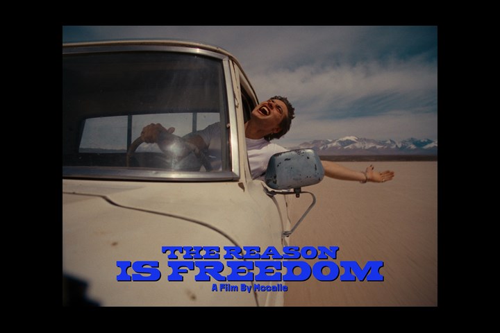 The reason is Freedom - AMCNO - Mama Hungara & unoxuno - Americanino