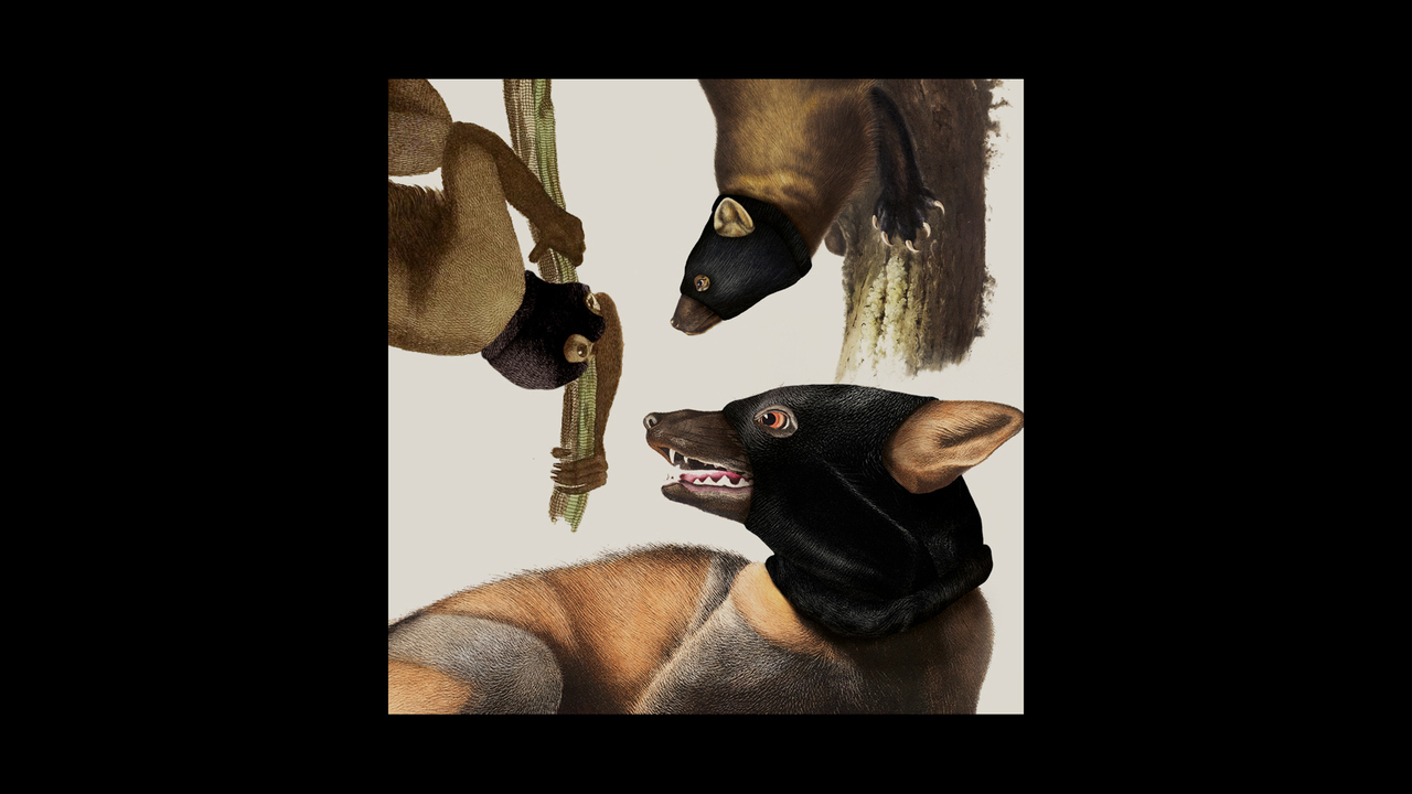 VXNTX VXNTX - 2020 - Carme