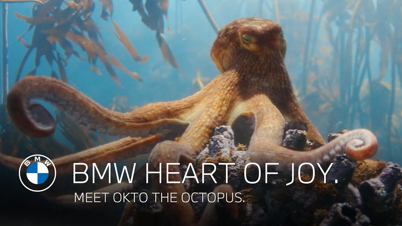BMW Heart of Joy: Octowaltz - Parasol Island & Untold Studios - BMW