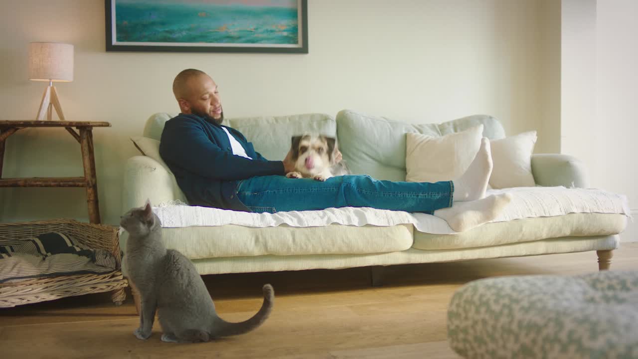 The Business - Mad Cow Films - MadCow / Milk Machine partnered with Scrumbles, a fast-growing gut-friendly pet food brand, to create a humorous TV campaign that resonated with its target audience. Centred around the quirky concept of pets ‘taking care of their business,’ the campaign boosted brand awareness, highlighted the brand’s core benefits, and ranked in the top 5% of ITV ads for long-term brand growth.