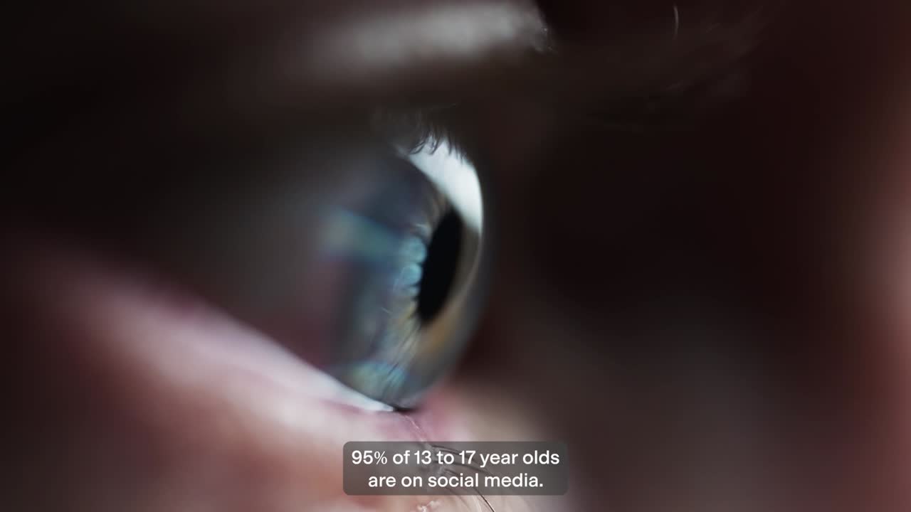36 Months - FINCH - FINCH