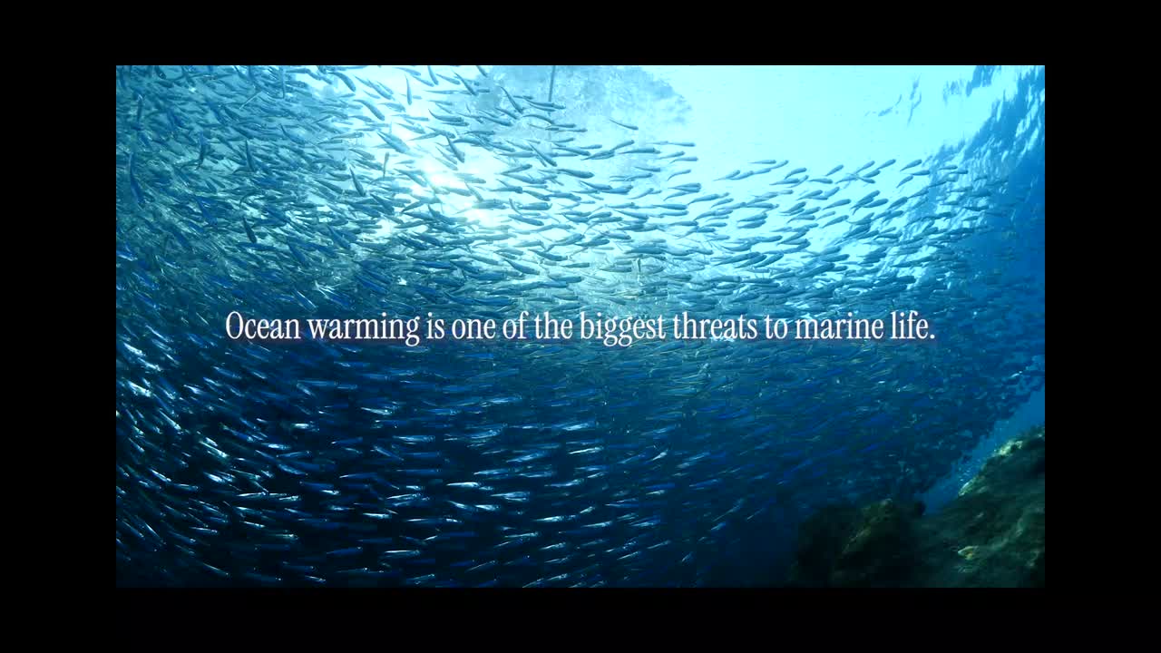 In Hot Water - WWF - WWF
