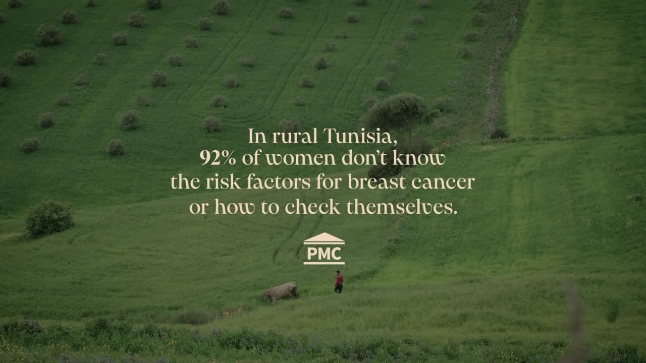 LumpDolls - Breast cancer - Carrefour Tunisia